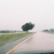 Roadside Weather