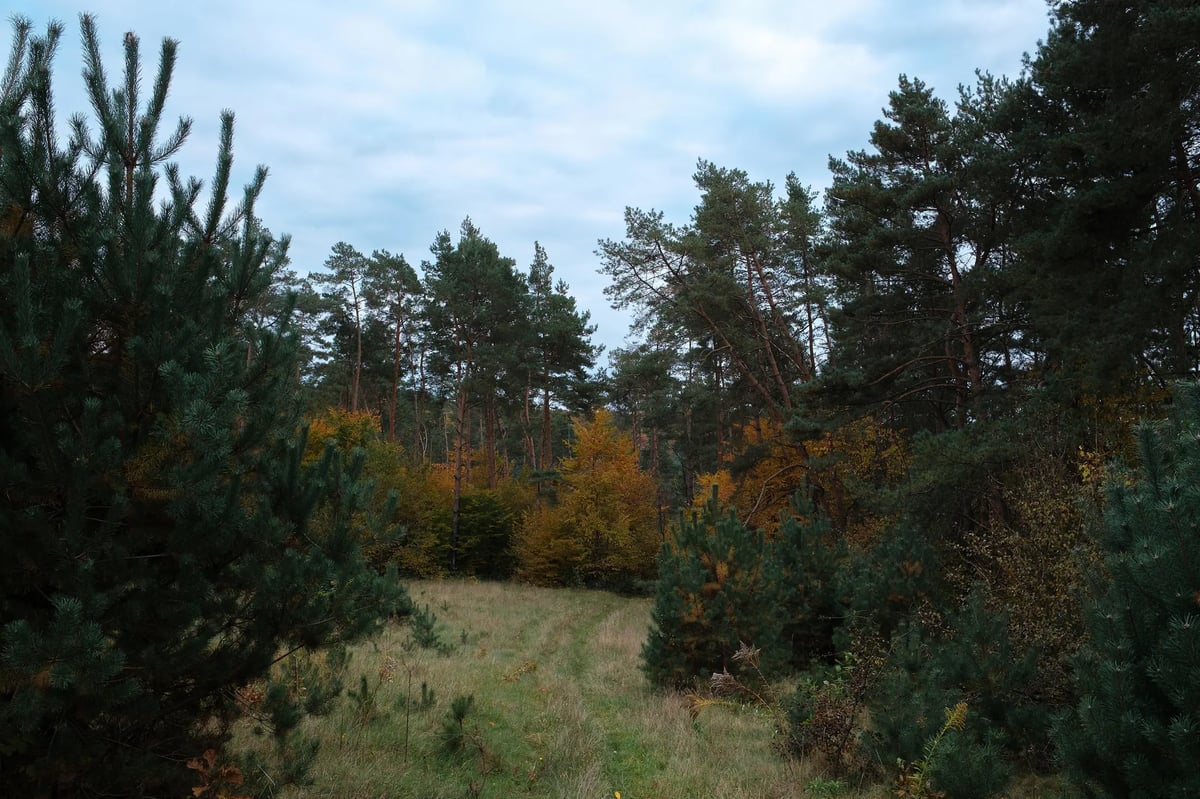 Project image 7